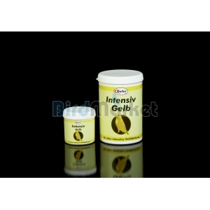 Quiko Intensive Yellow 100gr